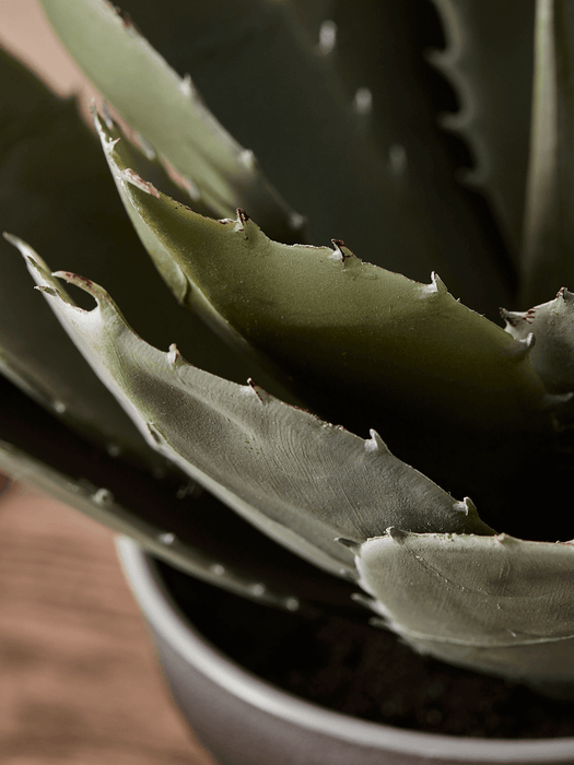 Faux Potted Aloe - Small