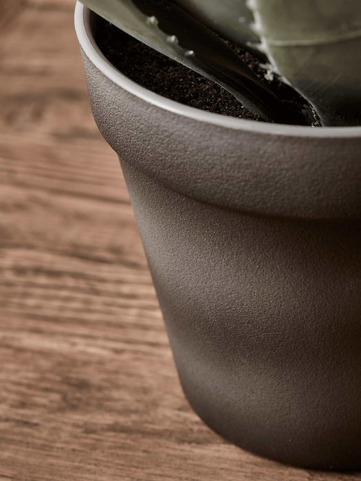 Faux Potted Aloe - Small