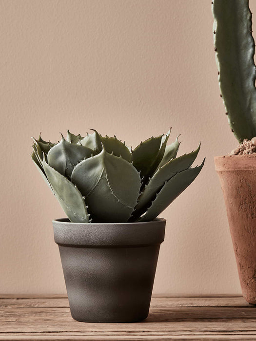 Faux Potted Aloe - Small