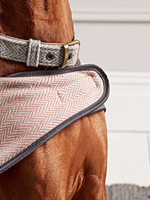 Blush Herringbone Wool Dog Coat - Medium