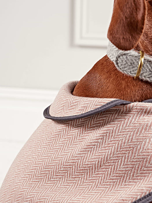 Blush Herringbone Wool Dog Coat - Medium