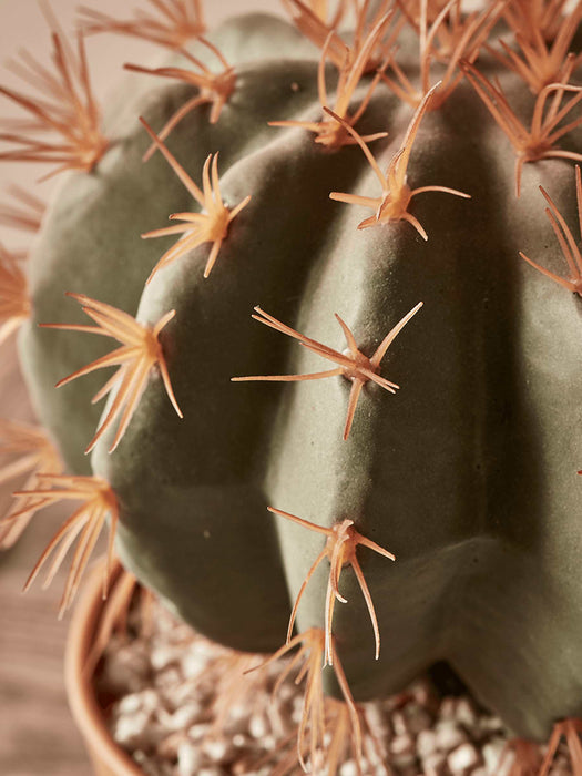 Faux Potted Barrel Cactus - Small