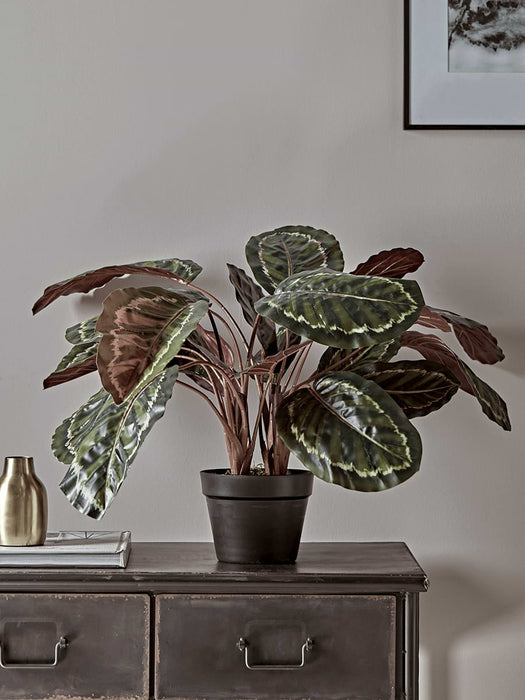 Faux Potted Calathea