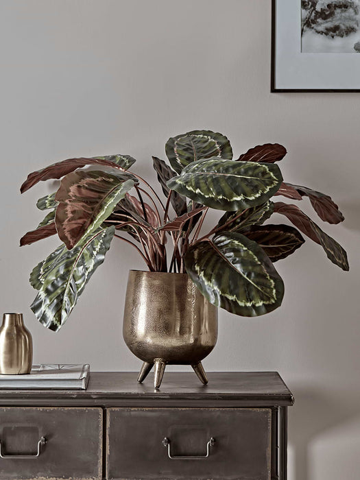 Faux Potted Calathea