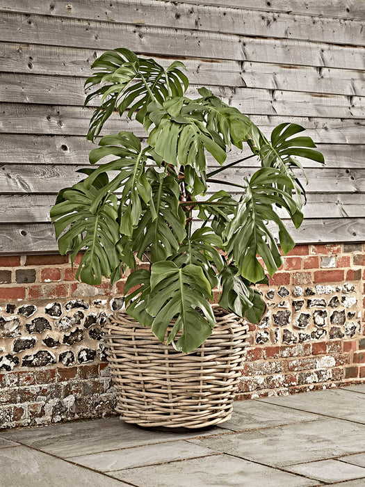 Chunky Rattan Planter