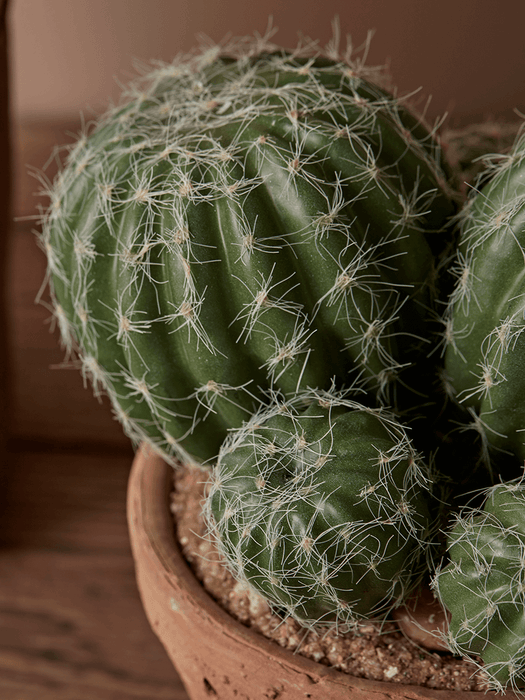 Faux Potted Cluster Cactus