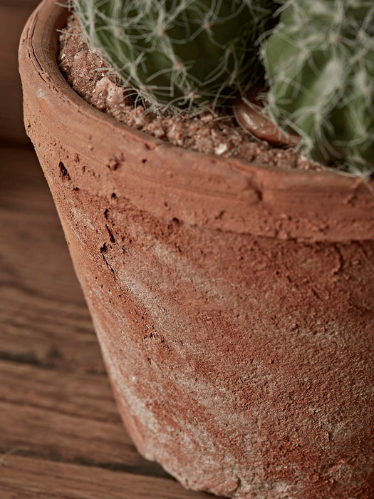 Faux Potted Cluster Cactus