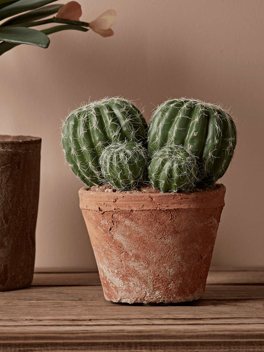 Faux Potted Cluster Cactus
