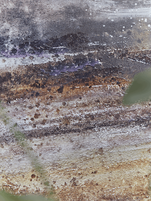 Coastal Abstract Canvas