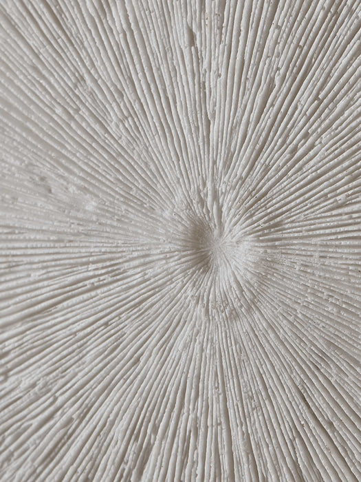 Faux Coral Wall Art