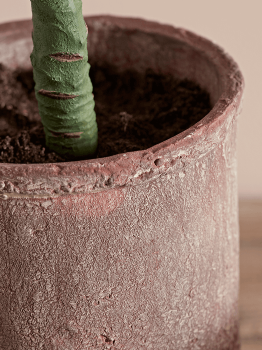 Faux Potted Succulent