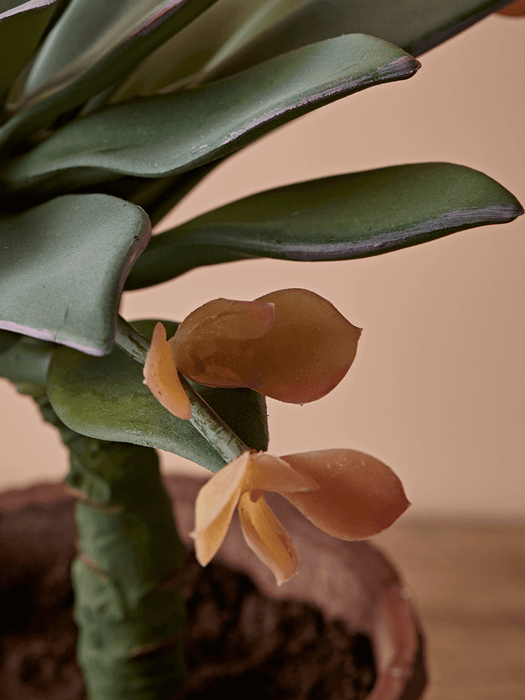 Faux Potted Succulent