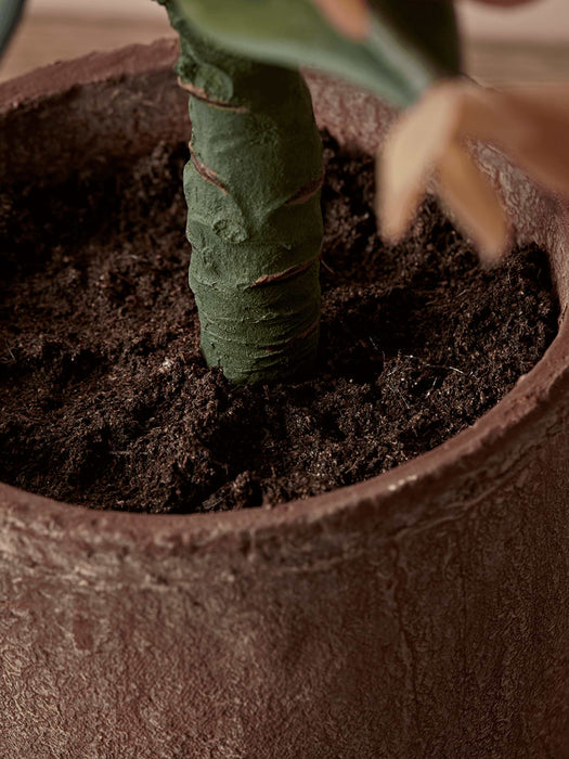 Faux Potted Succulent