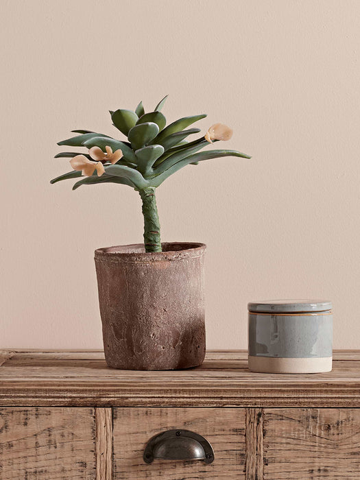 Faux Potted Succulent