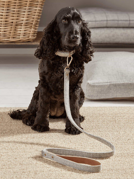 Grey Herringbone Dog Lead