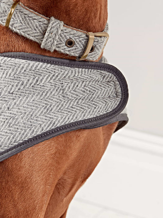 Grey Herringbone Wool Dog Coat - Large