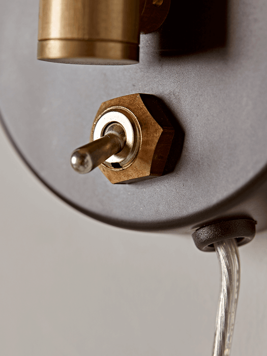 Hinged Black & Brass Wall Light