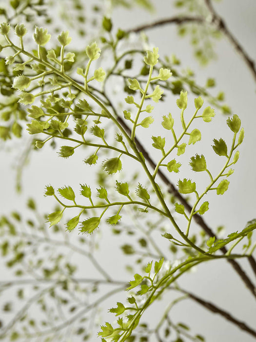 Faux Potted Maidenhair Fern - Large