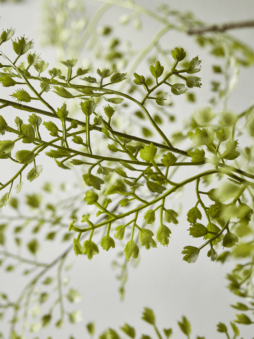 Faux Potted Maidenhair Fern - Large