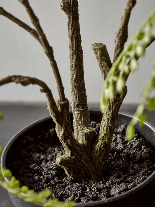 Faux Potted Maidenhair Fern - Large
