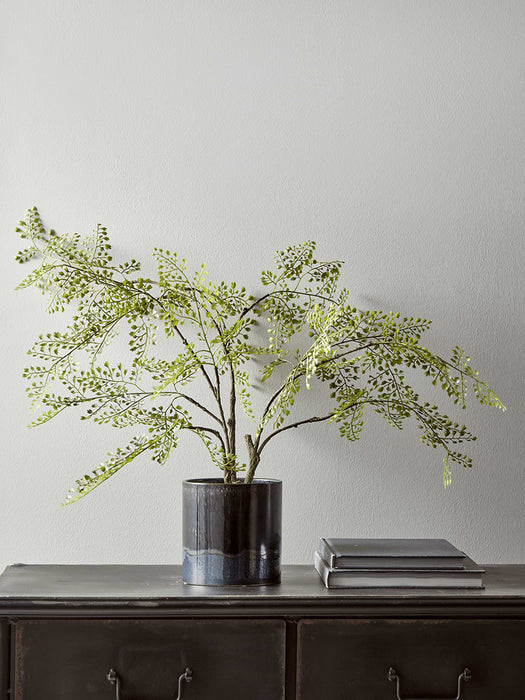 Faux Potted Maidenhair Fern - Large