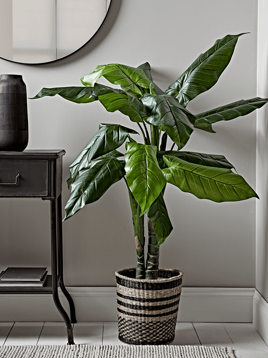 Black Stripe Seagrass Waste Paper Bin