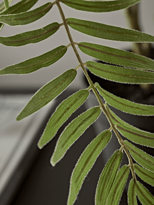 Faux Potted Mulberry