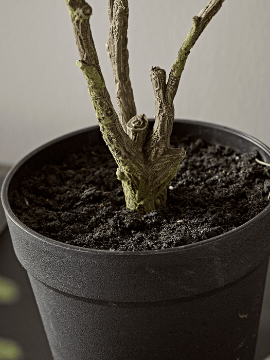 Faux Potted Mulberry