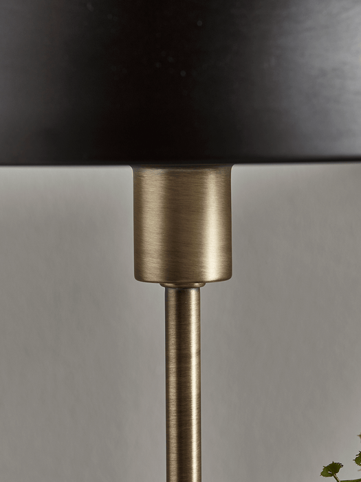 Black & Brass Rounded Desk Lamp