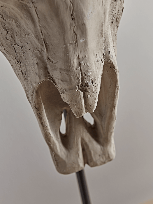 Standing Faux Skull