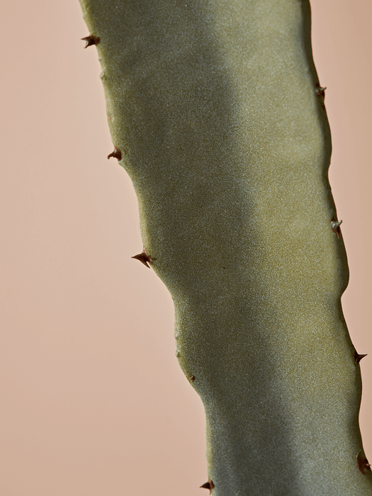 Faux Potted Totem Cactus