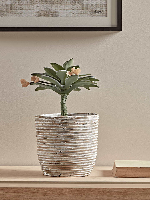 Whitewashed Round Rattan Planter - Small