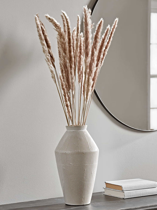 Dried Plumes Bunch