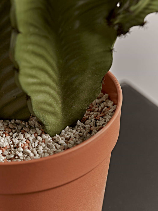 Faux Potted Tall Cactus