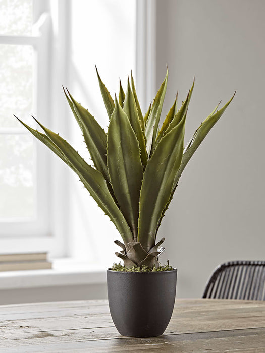Faux Wide Leaf Agave