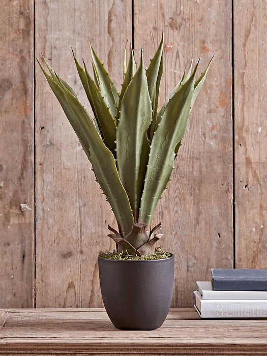 Faux Wide Leaf Agave