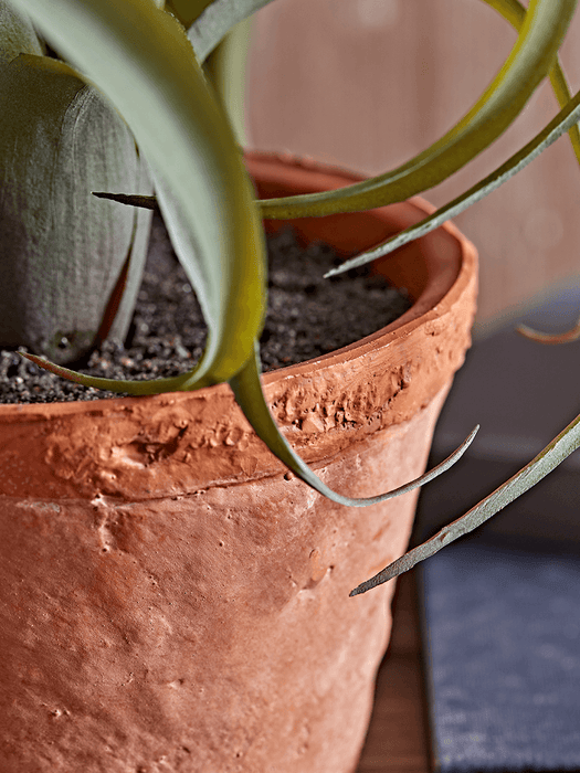Two Faux Potted Snake Plants