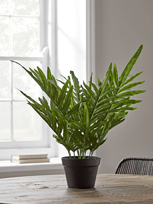 Faux Potted Phlebodium