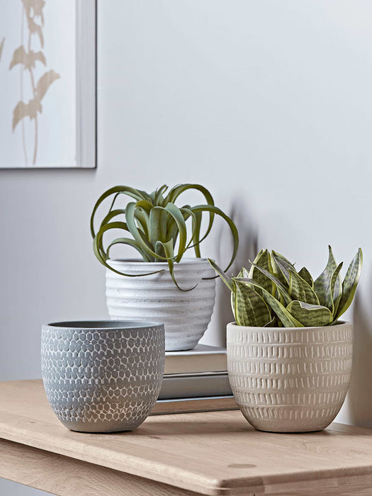 Two Faux Potted Snake Plants