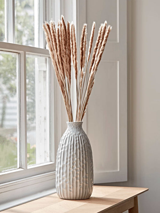 Dried Plumes Bunch