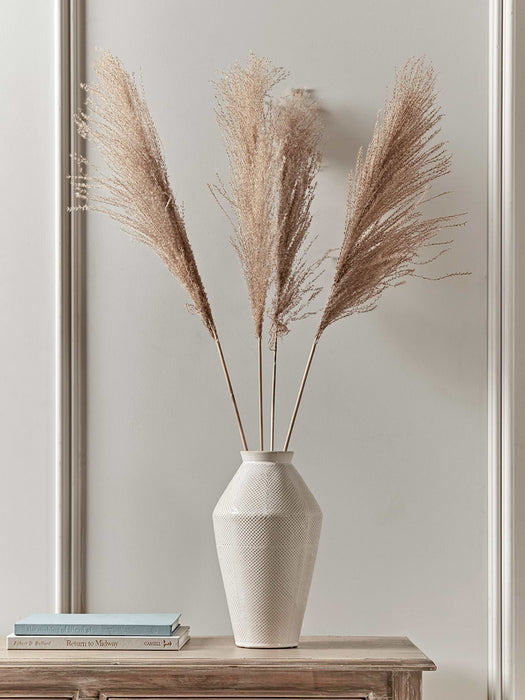 Dried Grasses Bunch