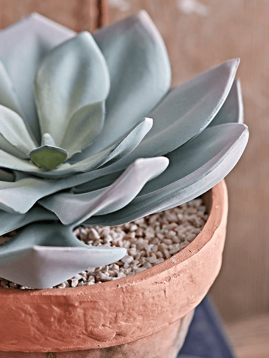 Two Faux Potted Succulents