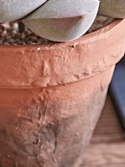 Two Faux Potted Succulents