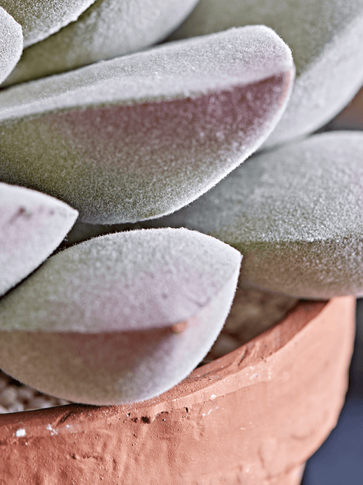 Two Faux Potted Succulents
