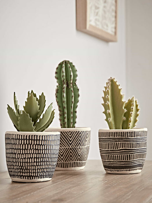 Three Monochrome Planters