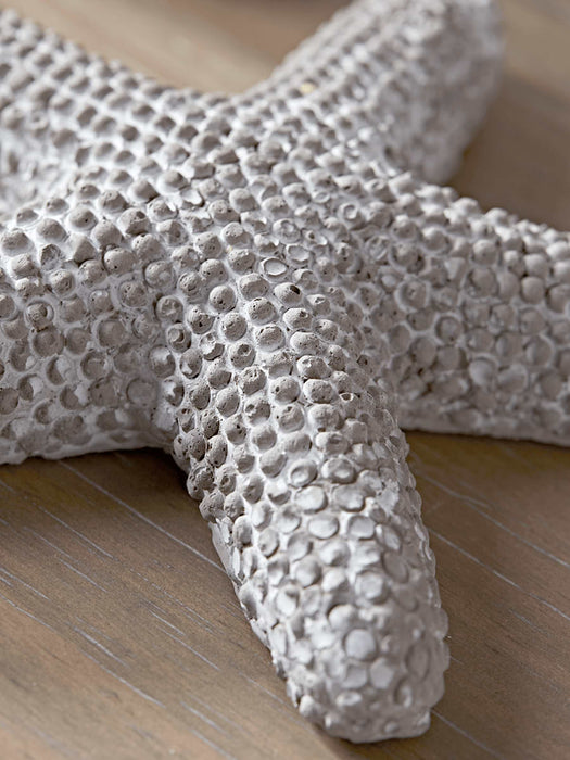Two Starfish