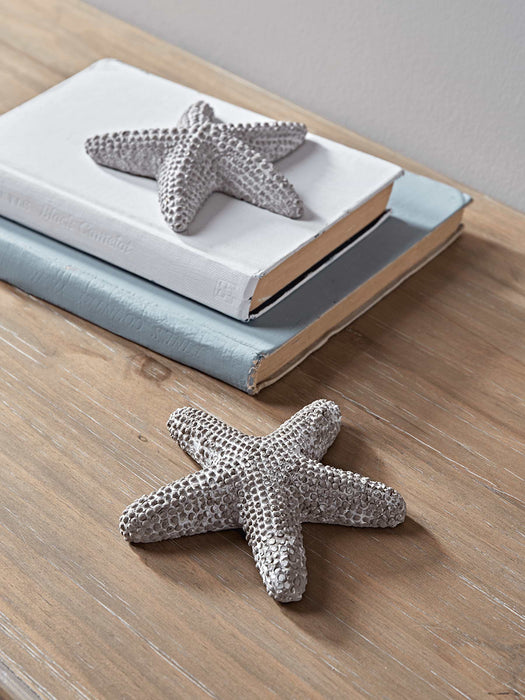Two Starfish