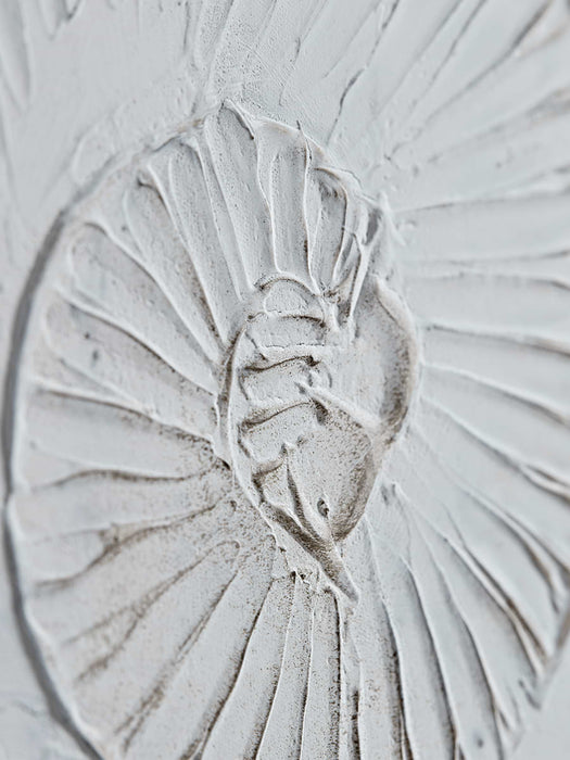 Faded Shell Canvas