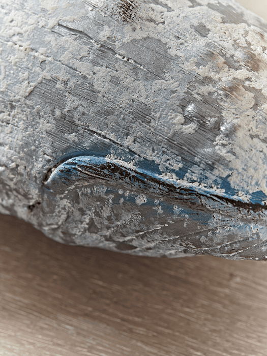 Whitewashed Whale