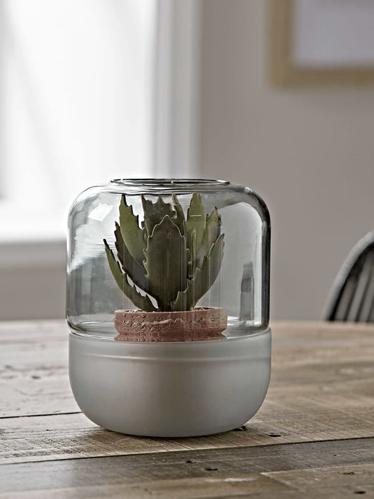 Grey Glass Terrarium